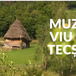 Muzeul viu din Tecsesti