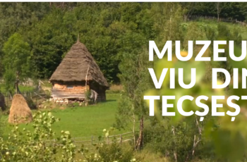 Muzeul viu din Tecsesti