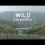 VIDEO De ce sunt Carpaţii unici (@Wild Carpathia - Transilvania)