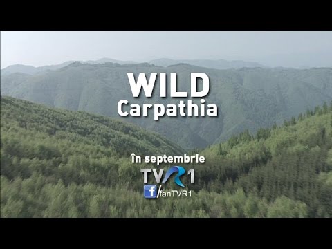 VIDEO De ce sunt Carpaţii unici (@Wild Carpathia - Transilvania)