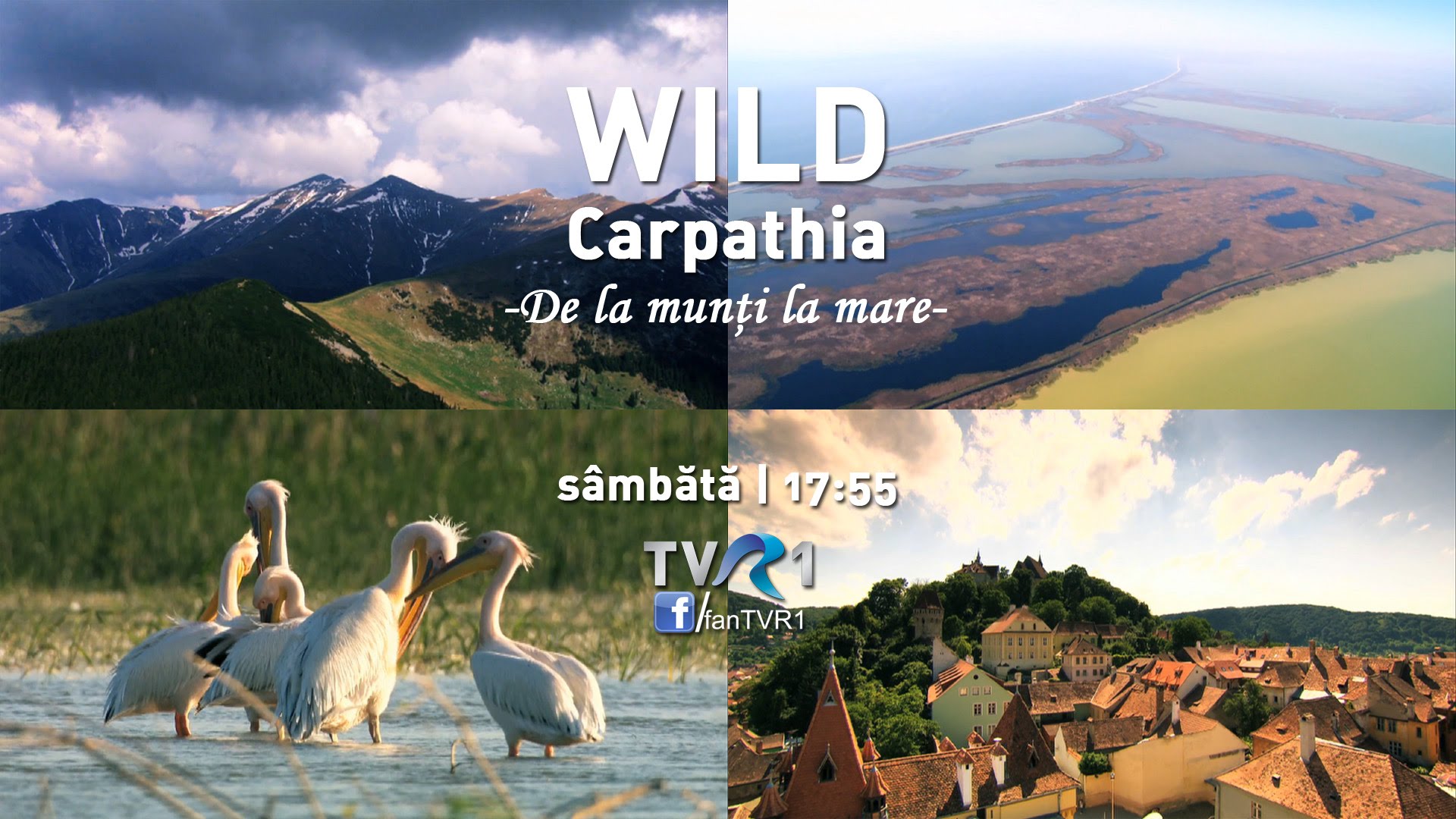 VIDEO Wild Carpathia - De la munţi la mare (sumar)