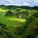 Parcul Natural Grădiştea Muncelului-Cioclovina: Fundatura