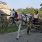 Gânduri bune la tătă suflarea!