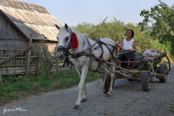 Gânduri bune la tătă suflarea!