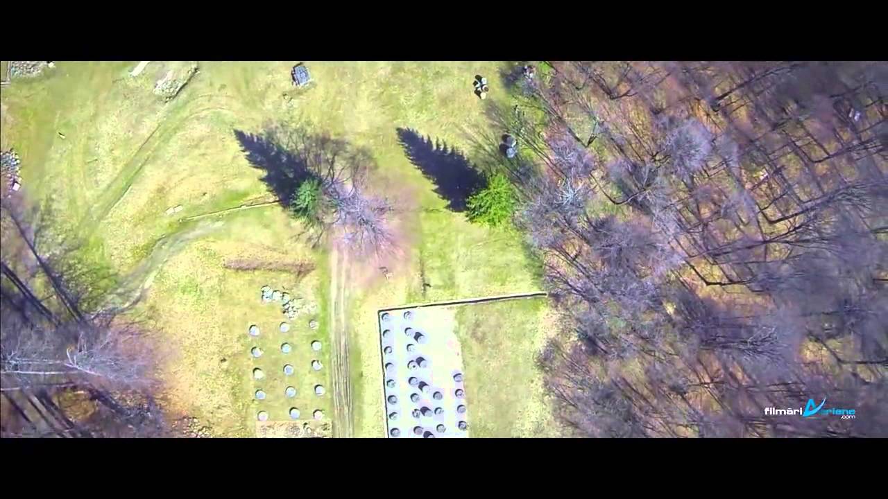 VIDEO Sarmizegetusa Regia Flight Birds