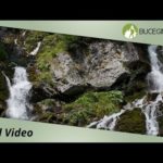 VIDEO: Valea Spumoasa Busteni – Ghid Video