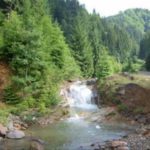 VIDEO: Explore the Carpathian garden – Baiut, Romania