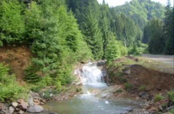 VIDEO: Explore the Carpathian garden – Baiut, Romania