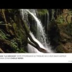 VIDEO: Atracţii Cheile Nerei: Cascada La Văioagă