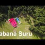 VIDEO: Acces Cabana Suru printre defrisari! Filmare aeriana