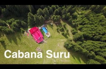 VIDEO: Acces Cabana Suru printre defrisari! Filmare aeriana