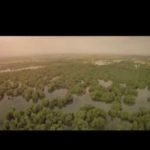 VIDEO: Delta Dunarii – Filmare aeriana * Danube Delta – Aerial view