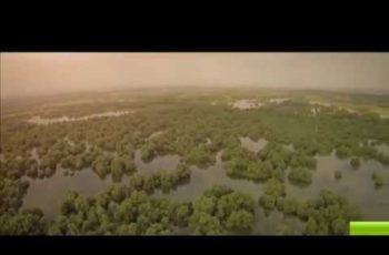 VIDEO: Delta Dunarii – Filmare aeriana * Danube Delta – Aerial view