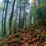 FOTO Toamna in Bucegi